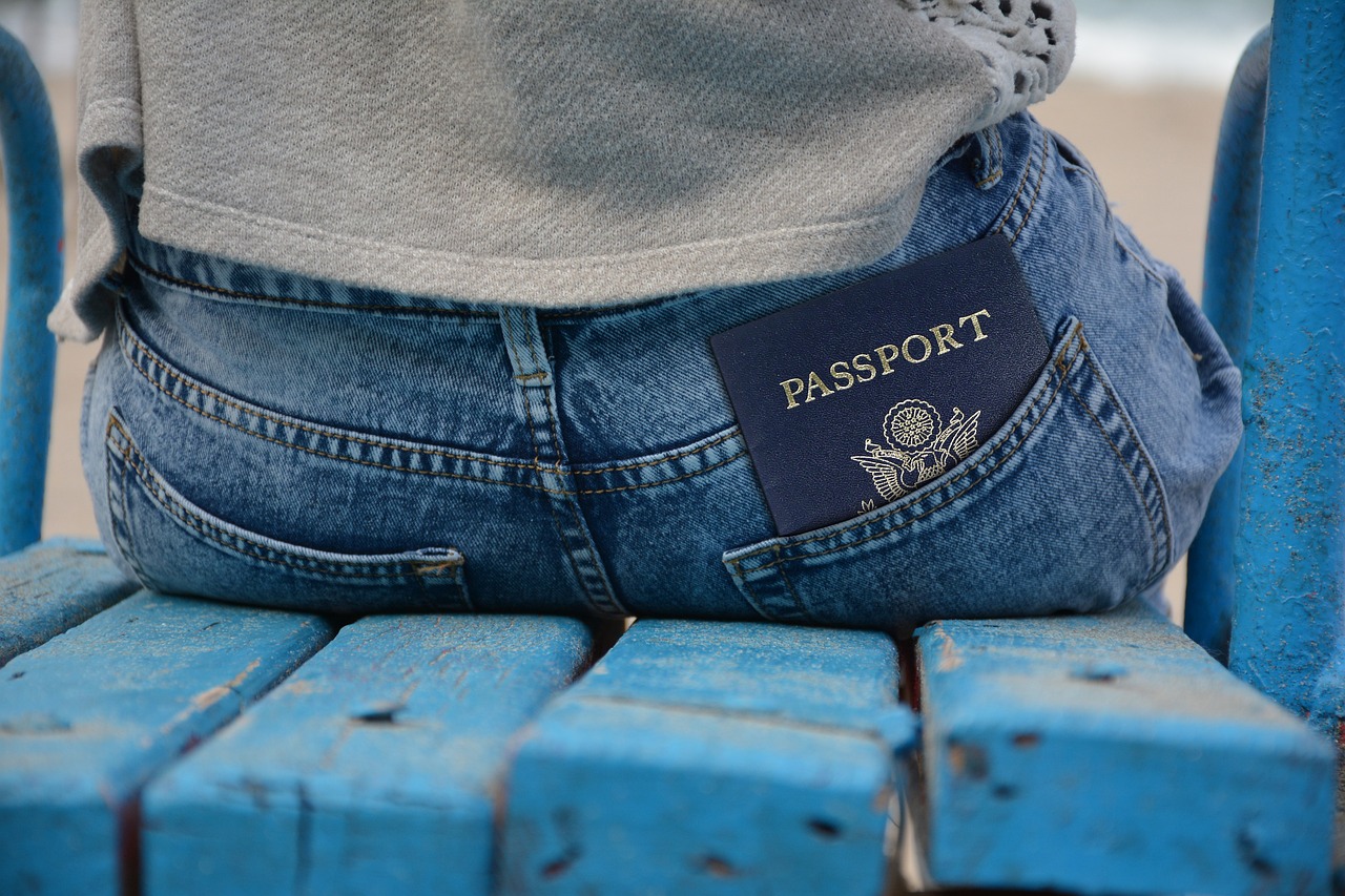 person entering passport number on visa check website — দুবাই ভিসা চেক