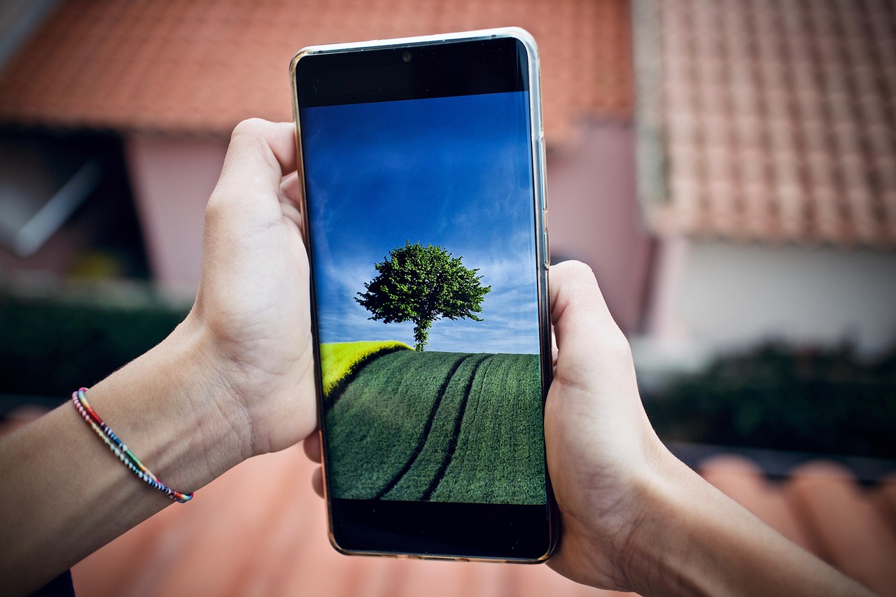 smartphone displaying official government website